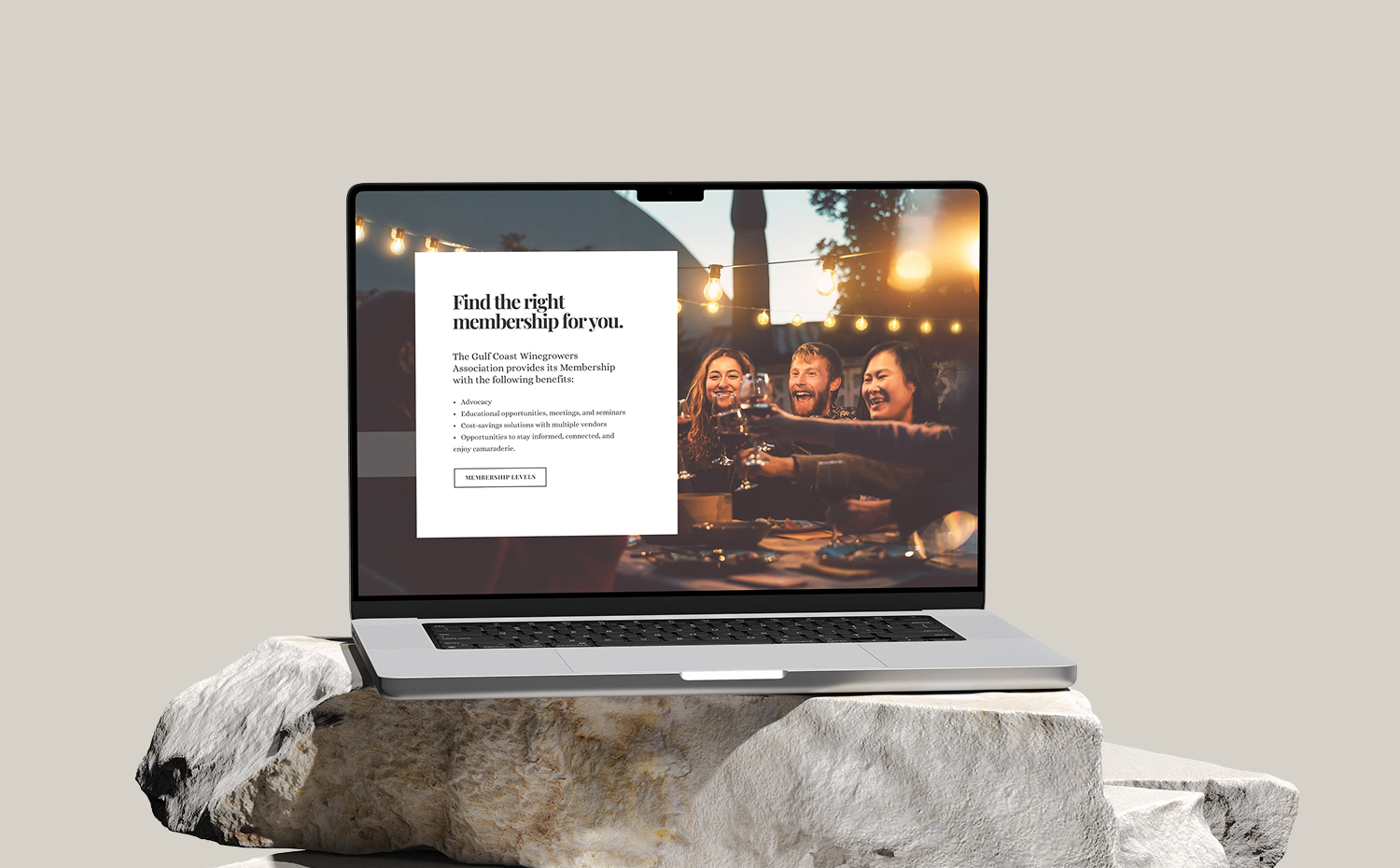 Website design example