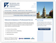 Business & Professional Service